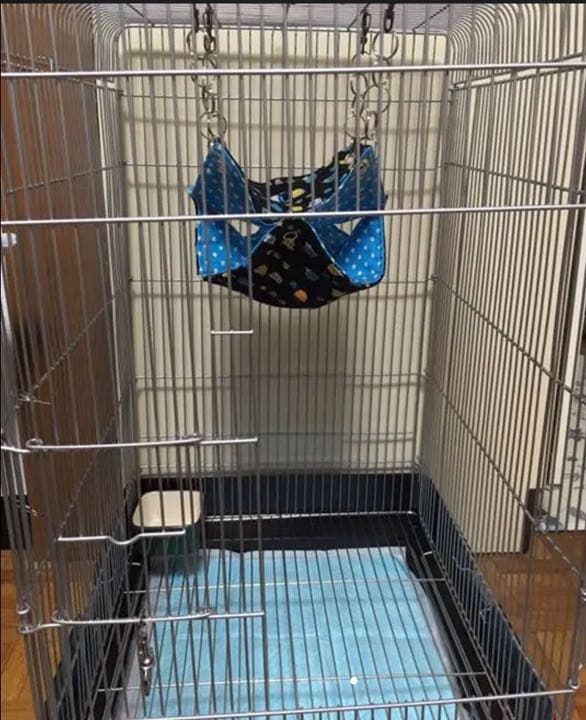 モモンガハウス(よつ葉のクローバーと黒猫) ボアベージュ 1800円