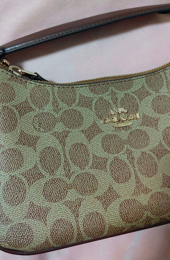 COACH テリ ショルダーバッグ ハンドバッグ シグネチャー キャンバス