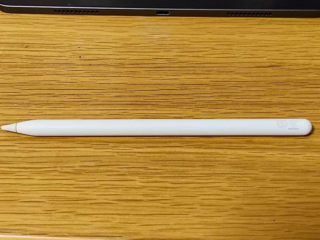 iPad Pro 12.9 第5世代 128GB グレー 箱無し 中古品