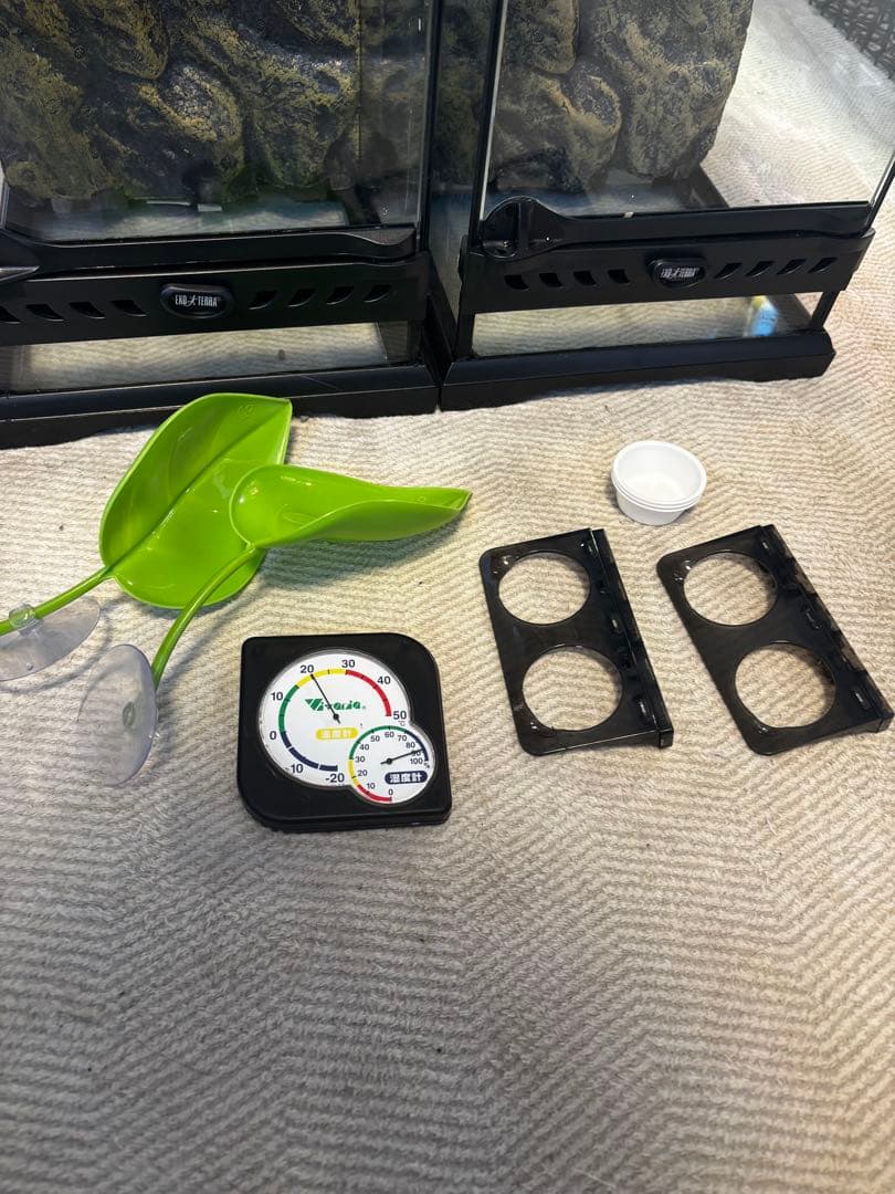 クレステッドゲッコー　飼育セット×2