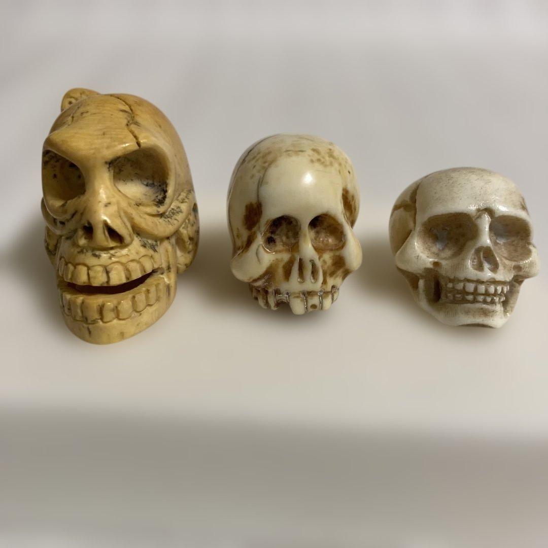 天然素材　髑髏　彫刻　根付　置物