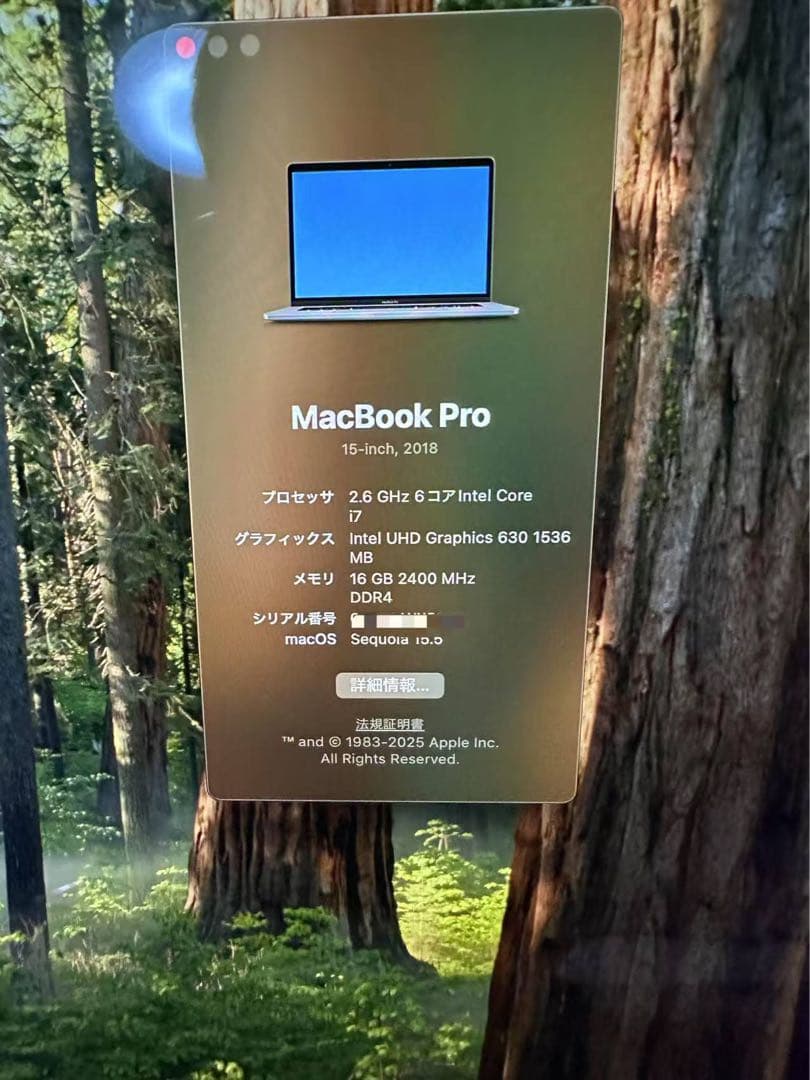 MacBook Pro15 2018 i7/512GB ディスプレイ、電池良好