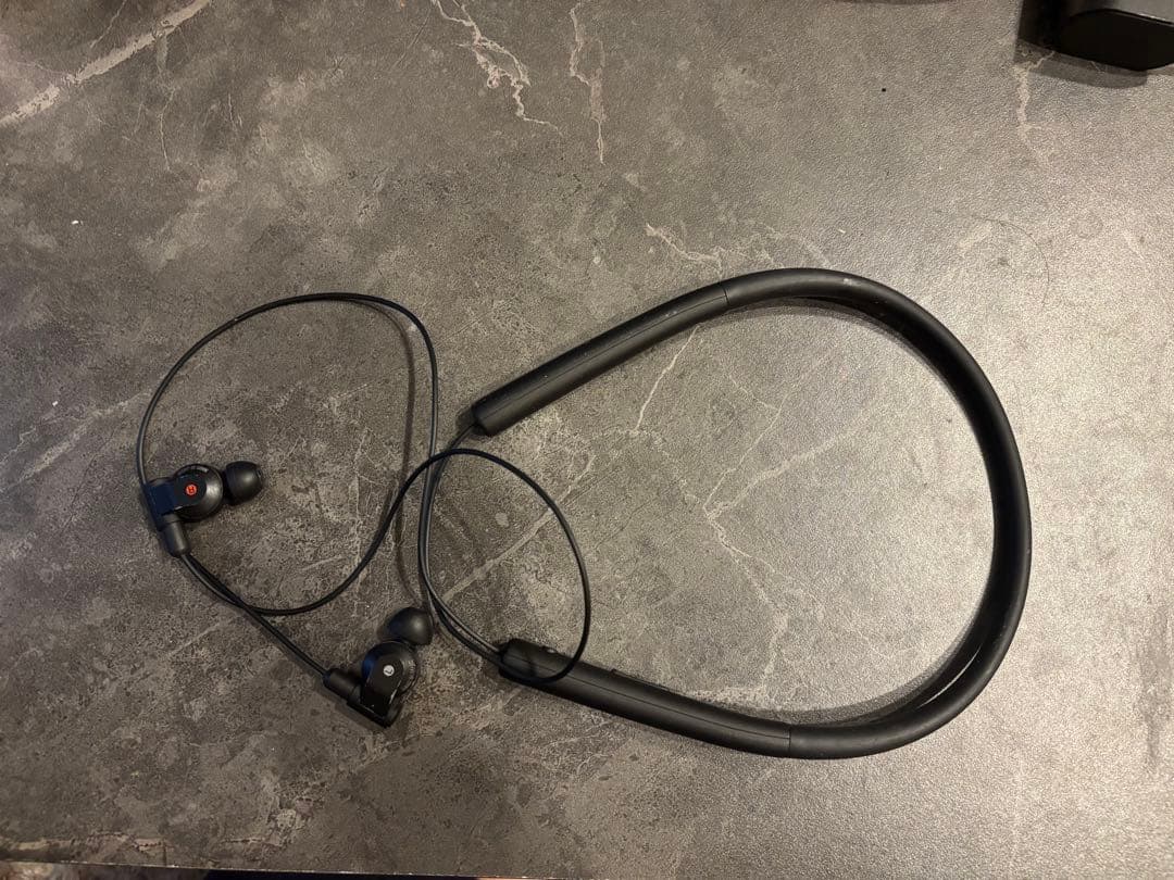 イヤホン SONY XBA-Z5