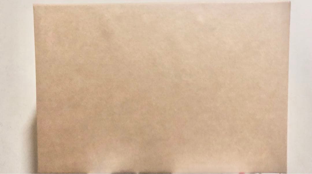 天野喜孝 直筆サイン入り 天使のたまご イメージボード集 100部 限定 即完