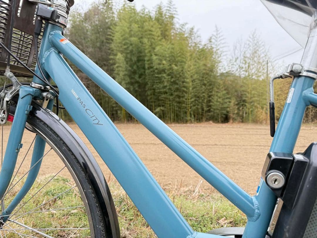 青色 シティタイプ 電動アシスト自転車