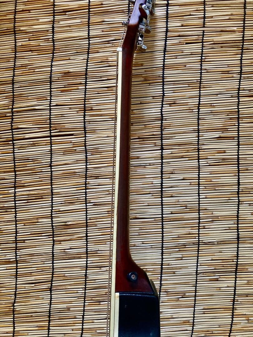 猫*様 ☆新年値下　アクティブコントローラを追加　エレアコ　Legend by