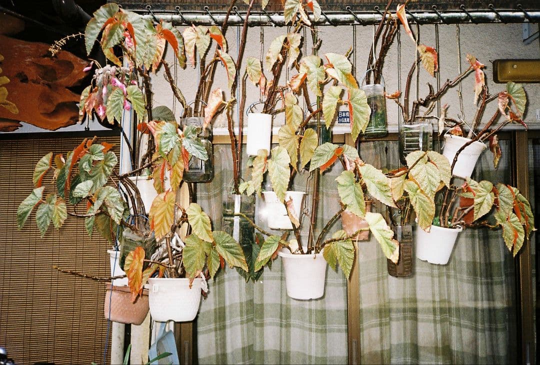 PENTAX ESPIO mini 75周年 コンパクトフィルムカメラ