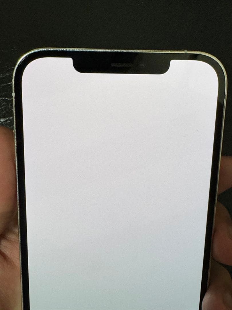 【美品】Apple iPhone 12 Pro Max 256GB シルバー