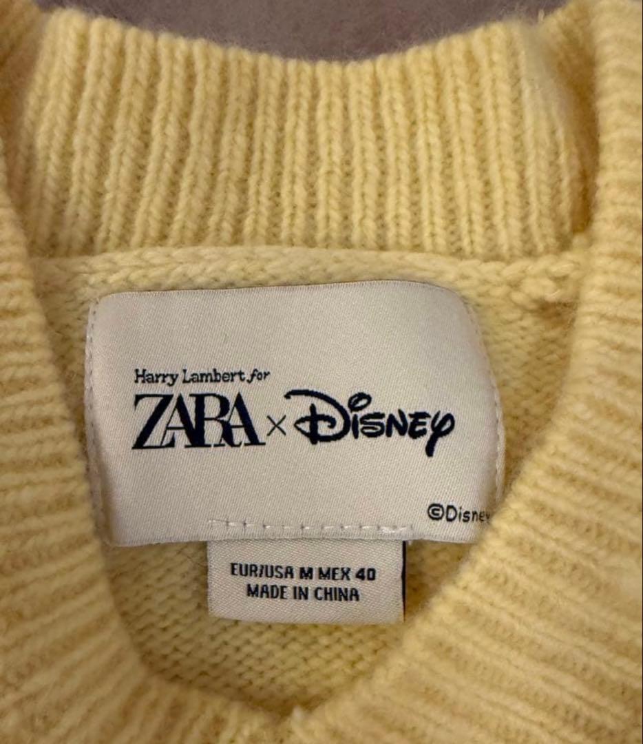 美品HARRYLAMBERT FOR ZARA×DISNEY プルートニットM