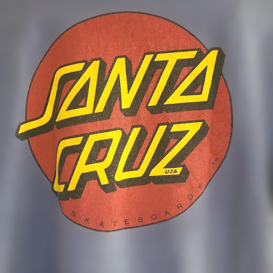 SANTA CRUZ サンタクルーズ パウエルペラルタ 80s 希少XL