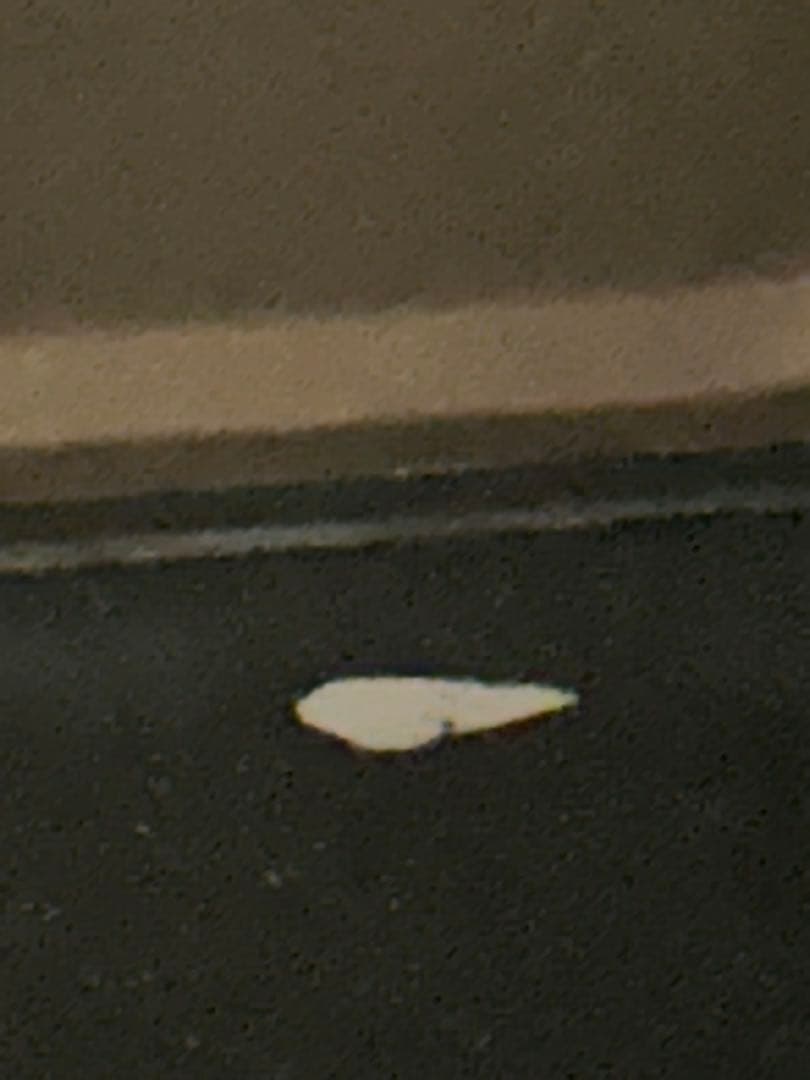 日立 過熱水蒸気オーブンレンジ MRO-SS7【中古品】