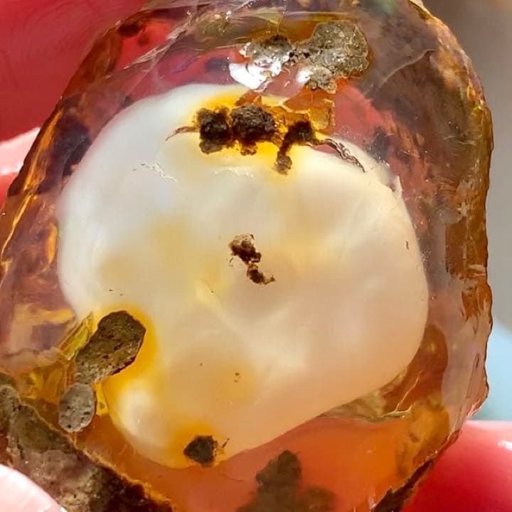 巨大エッグインオパール176.5ct/鉱物標本