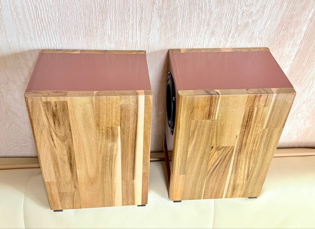 NFJ社P1000K互換10cmフルレンジ使用 バックロードホーンSP（ペア）