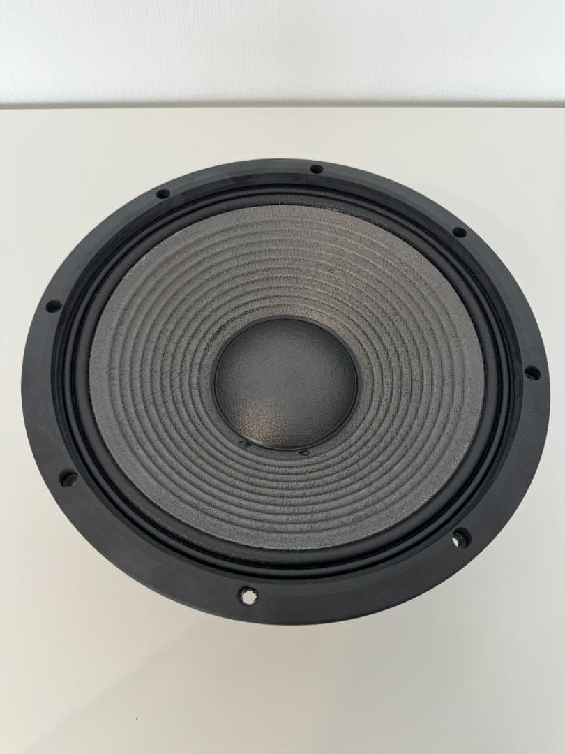 FOSTEX W300All 30cmウーファー ペア 未使用品