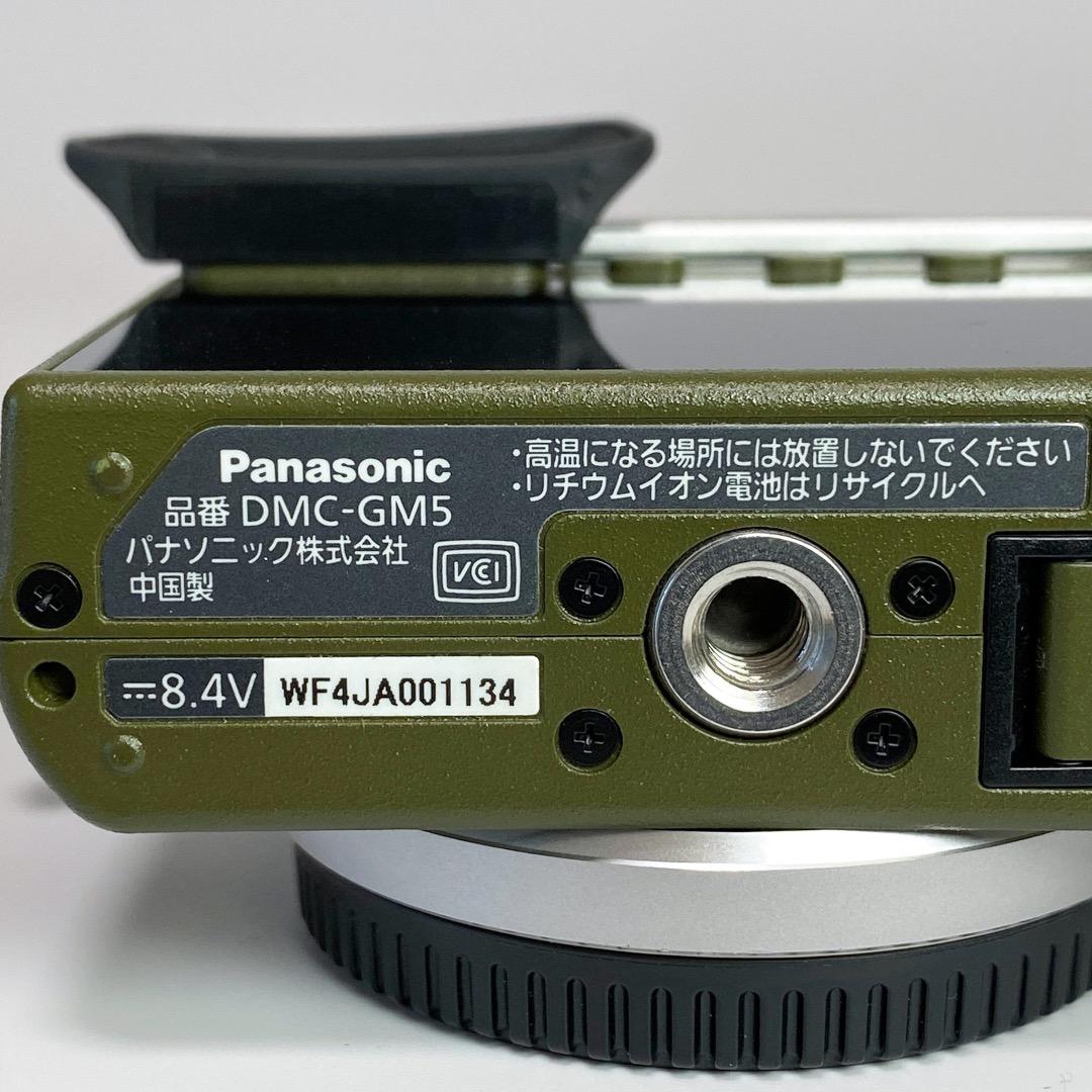 【美品】Lumix GM5 緑 Body / COTTA製サムレスト等 他付属