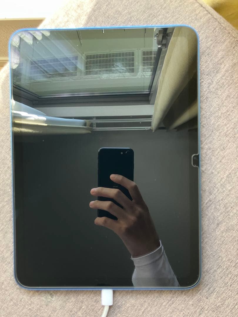 Apple iPad (第10世代) 256GB ブルー 本体 純正ケース付