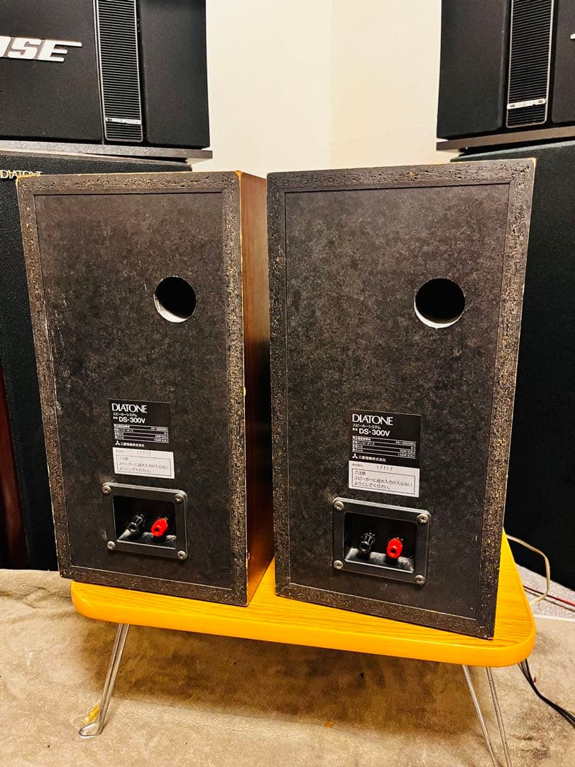 スピーカー・ウーファー DIATONE DS-300V