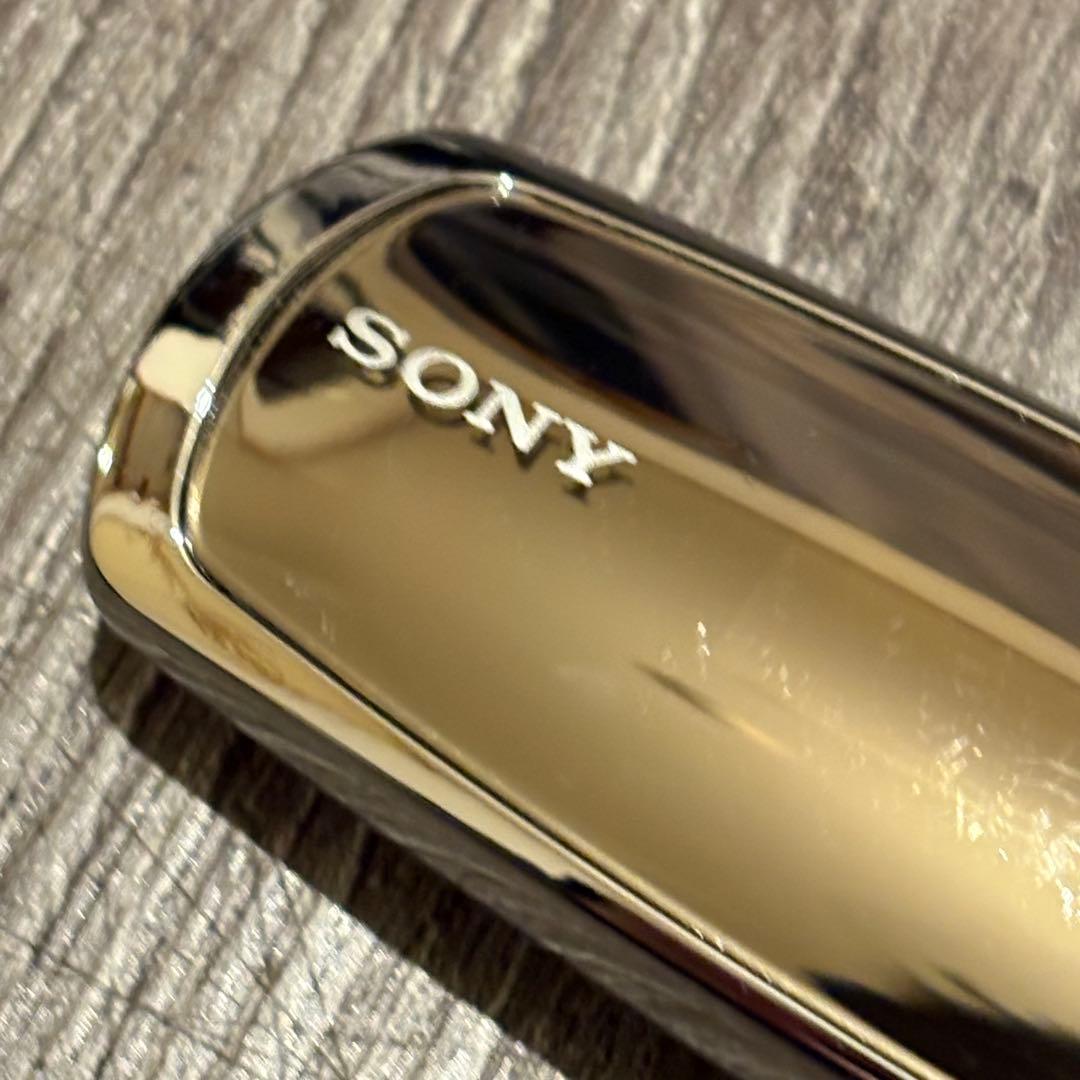 【即日発送】SONY WALKMAN NW-S706F オーディオプレーヤー