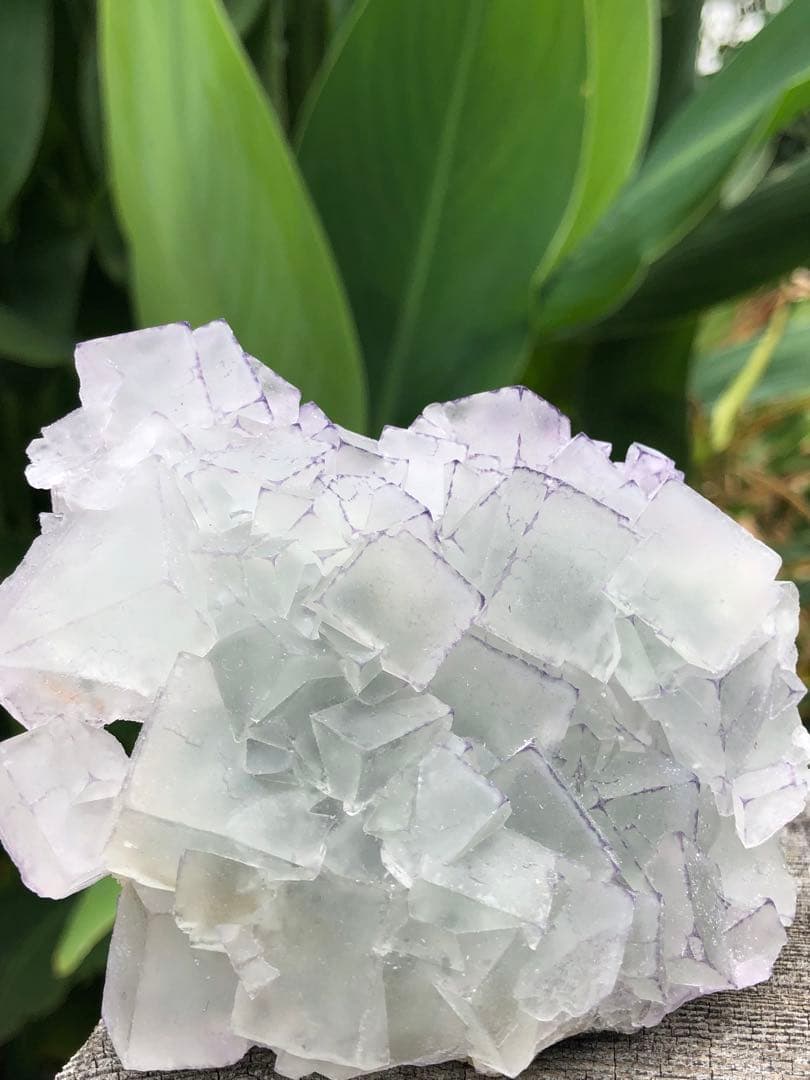 ❤️超レア　214g 綺麗　紫縁　グリーンフローライト　蛍石　クラスター