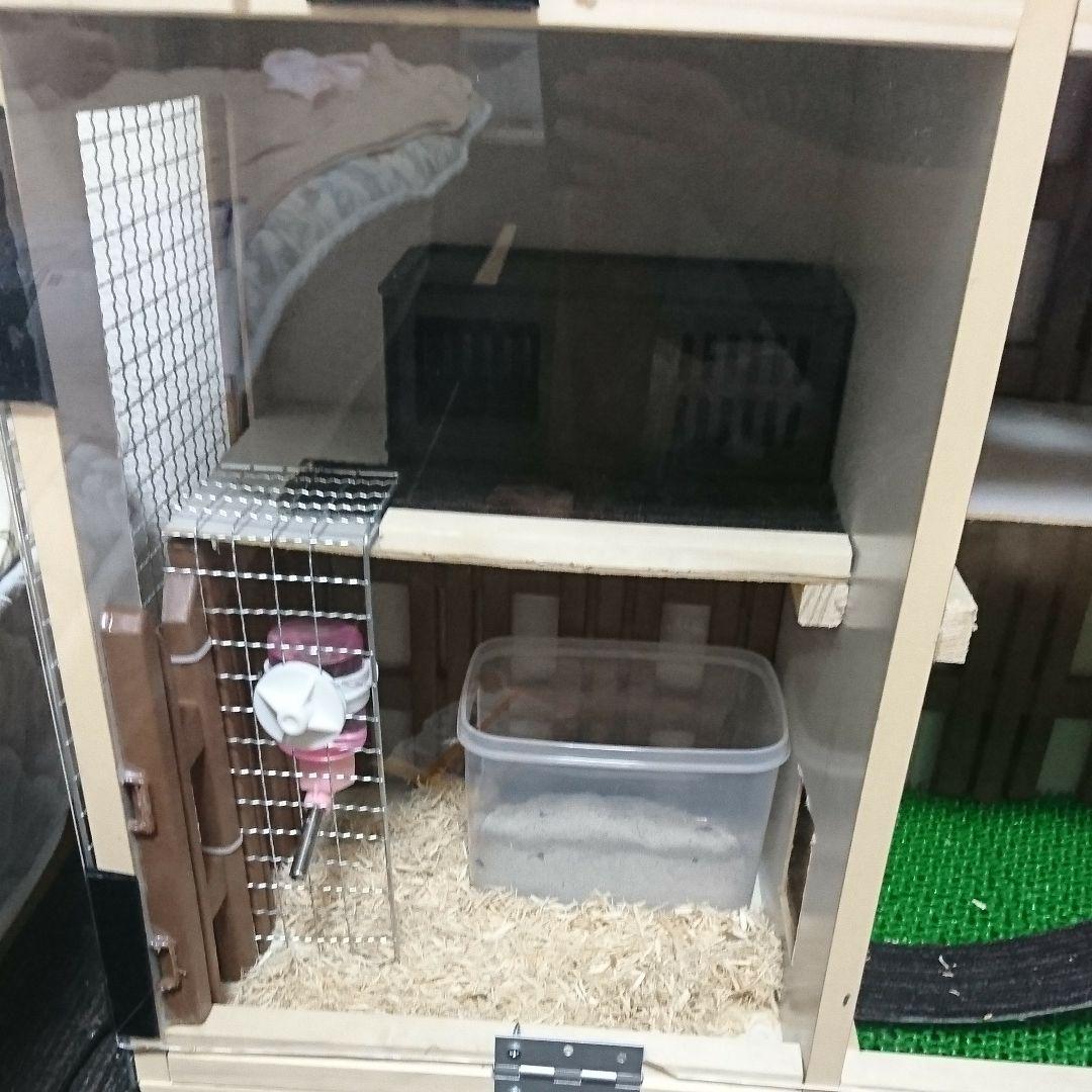 小動物のゲージ