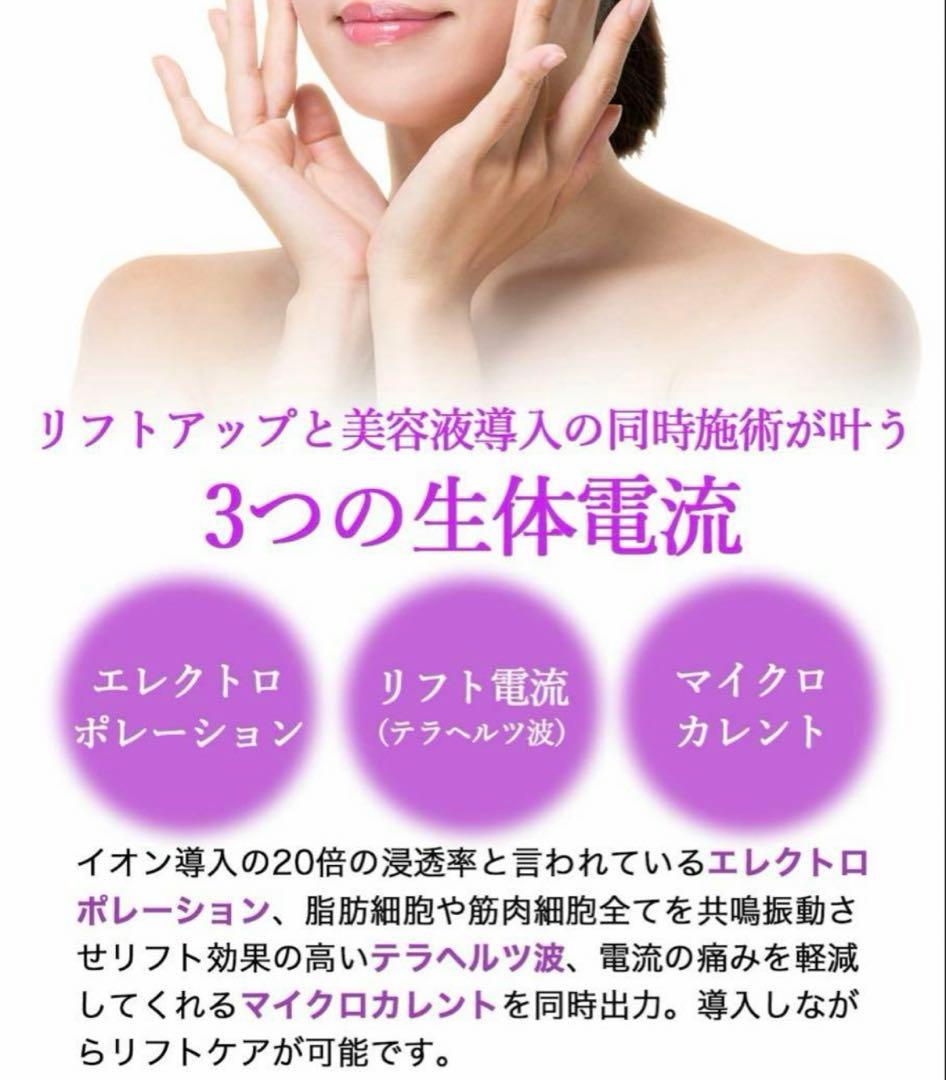 レチェオ！FORTUNA D COOL 業務用エレクトロポレーション