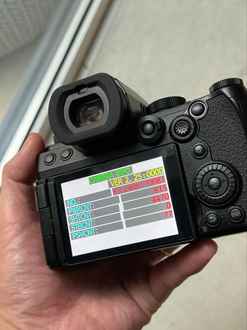 【美品】LUMIX S5IIX+純正バッテリー+バッテリーチャージャー