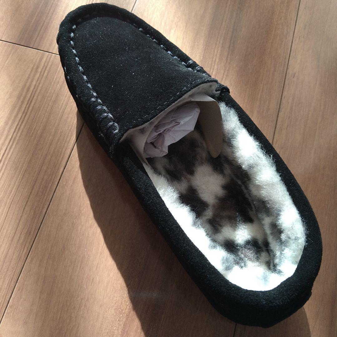 新品EMU38オーストラリア