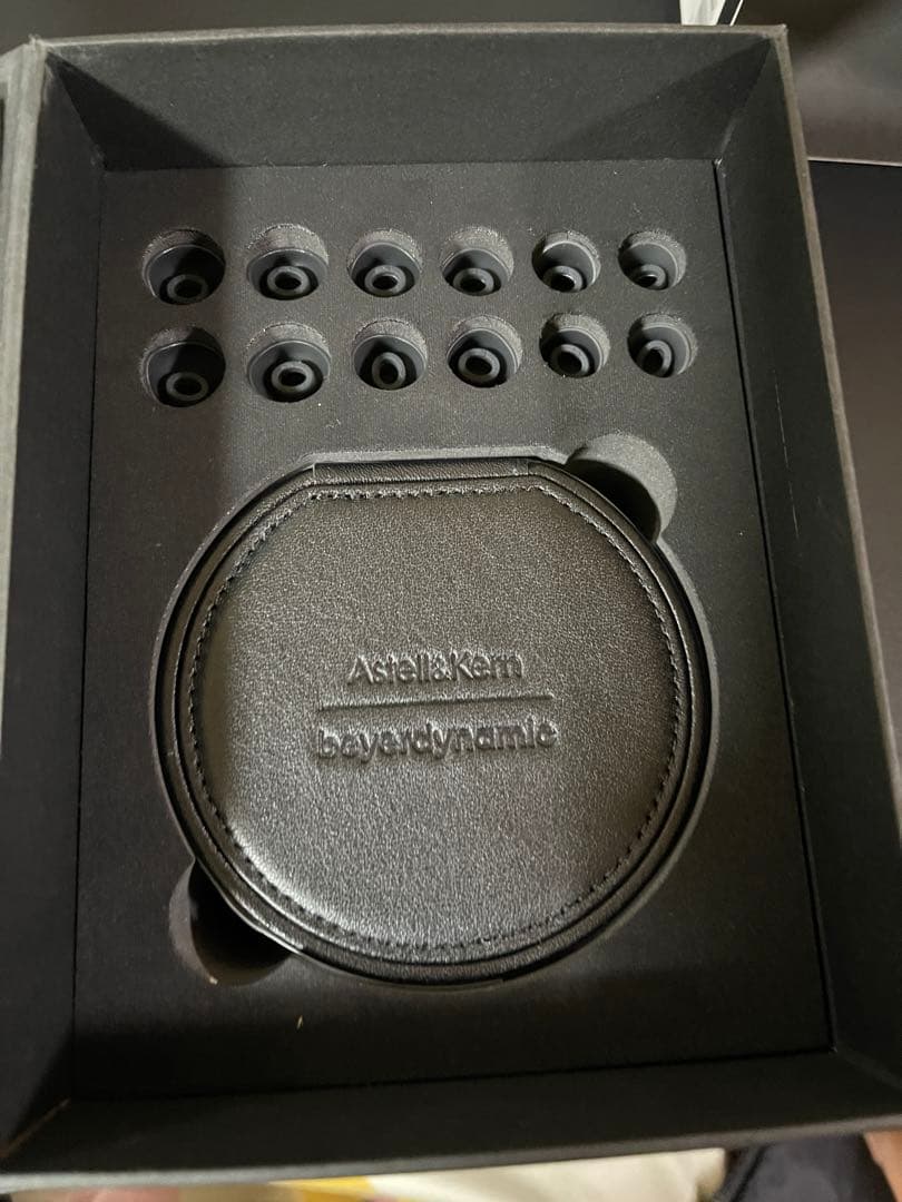 Astell&Kern AK T9iE イヤフォン