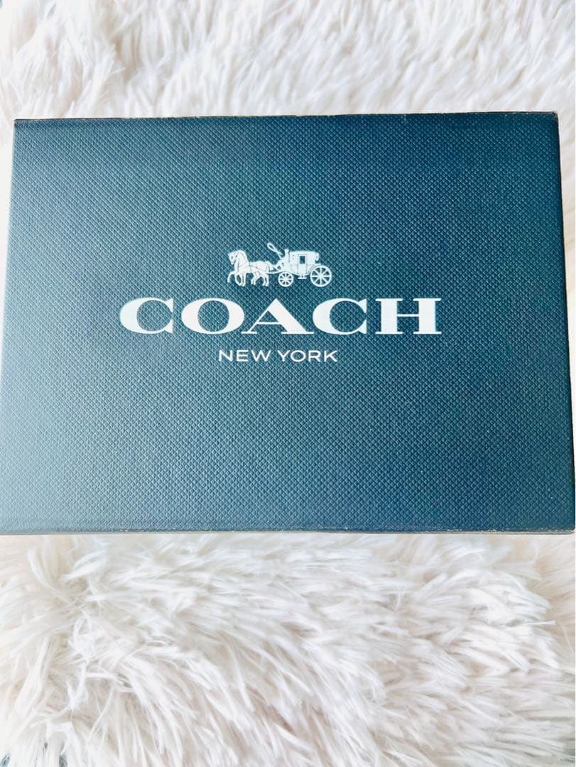 ✨極美品✨COACH　コーチ　キーホルダー　チャーム　恐竜　レキシー　ダイナソー