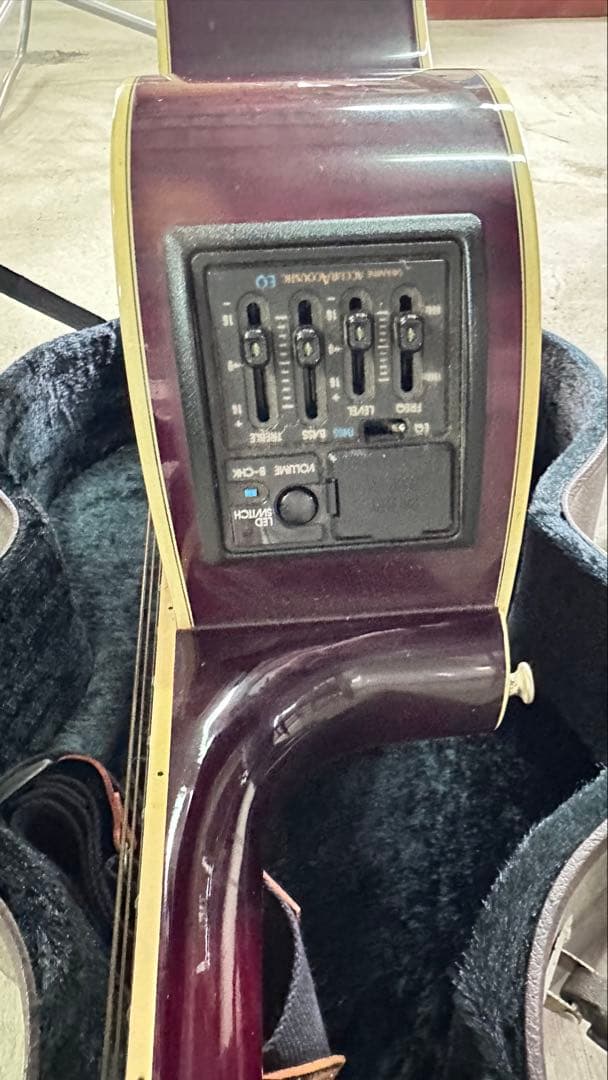 takamineNPR-110 バーガンディ アコースティックギター