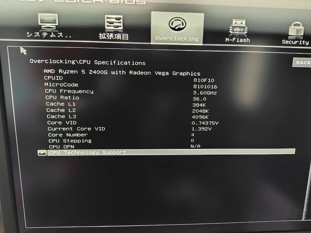 い*む様 ベアボーン（SST-SG11B、B450M、Ryzen5 2400G他