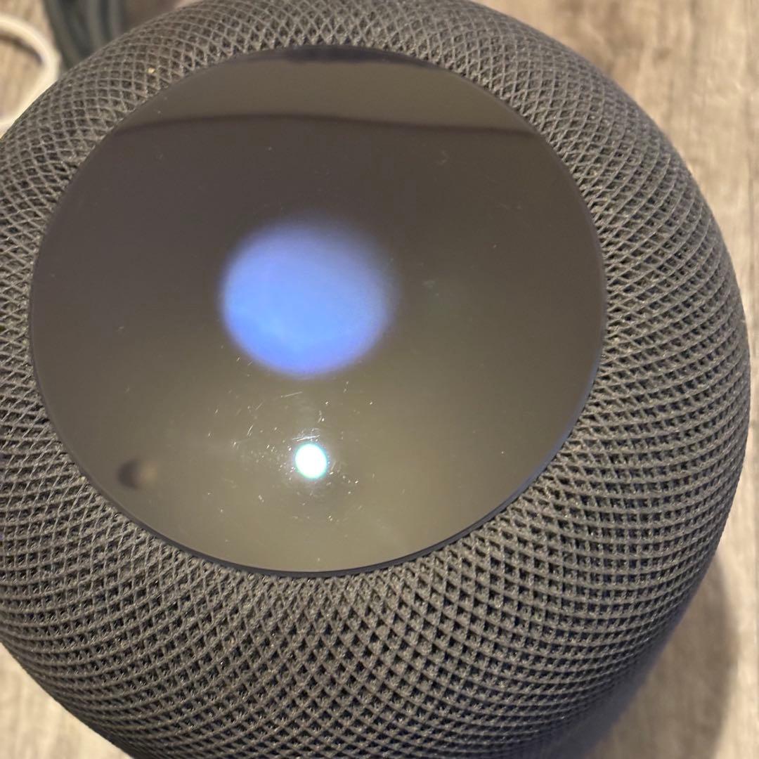 Apple Pod 第一世代 スペースグレイ