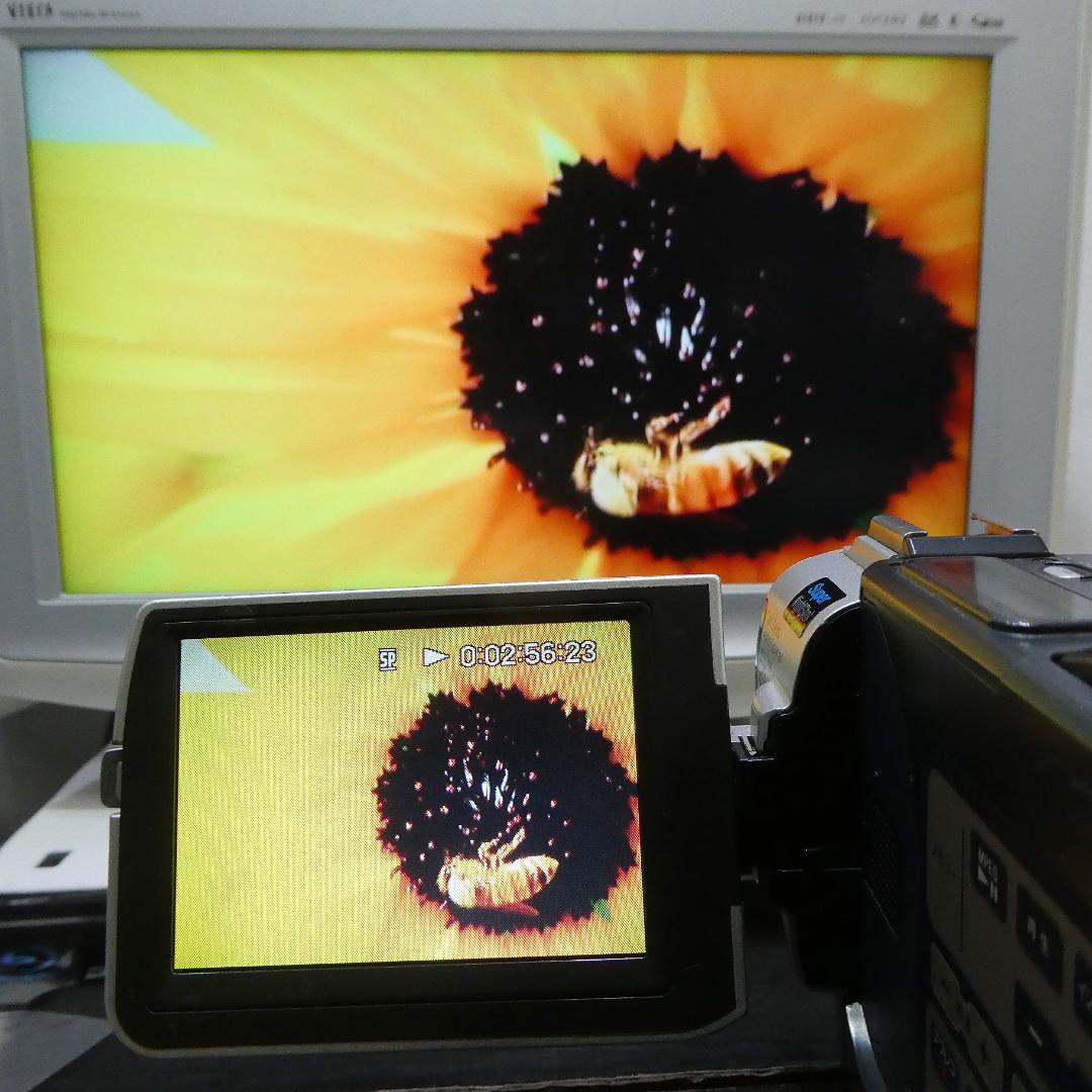 動作品ソニー DCR-TRV7 MiniDVビデオカメラ　DVDダビングに最適