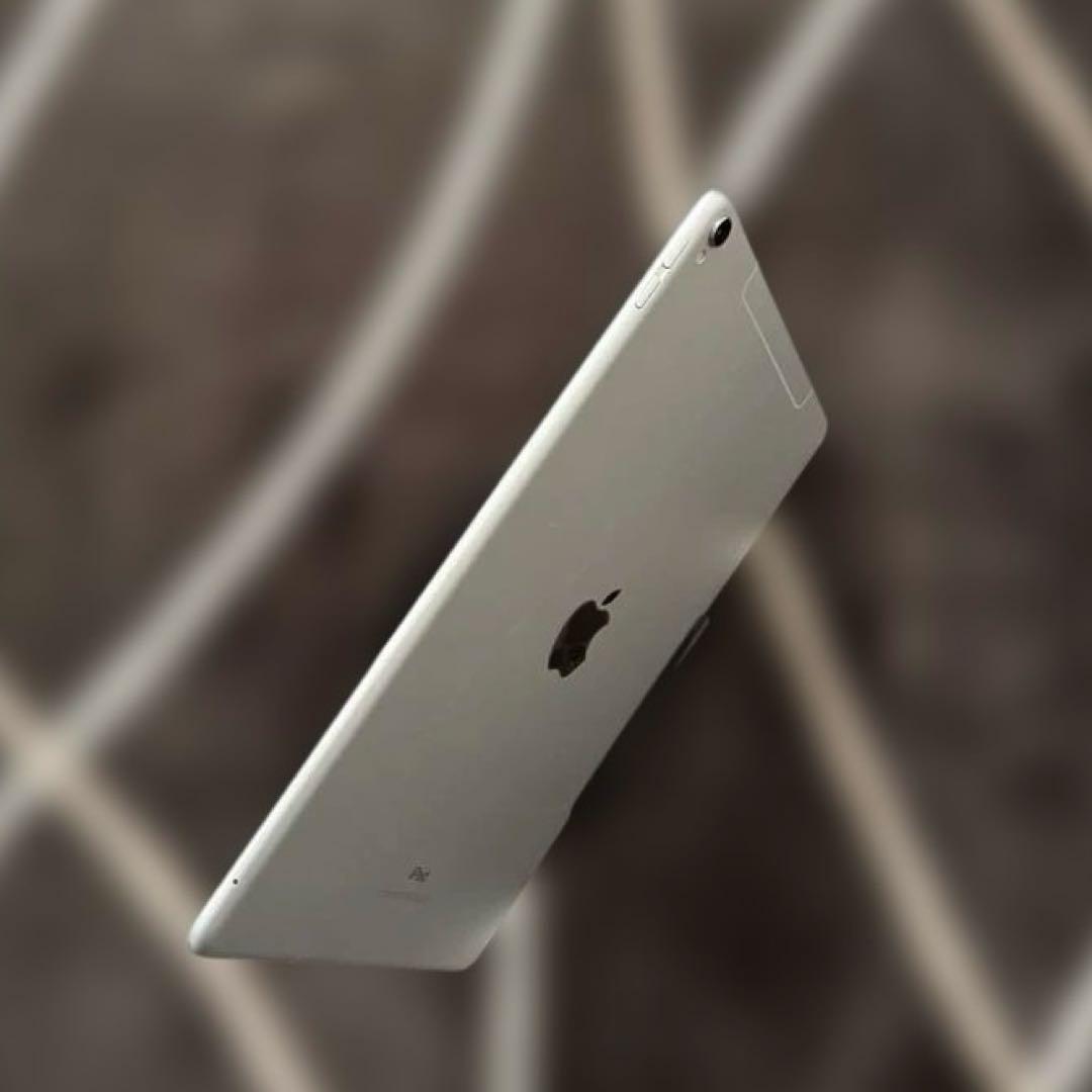 iPad Pro 10.5インチ 256GB Wi-Fi + Cellular