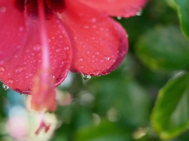 25mm F1.8 MF 単焦点レンズ！SONY Eマウント対応！ブラック！美品