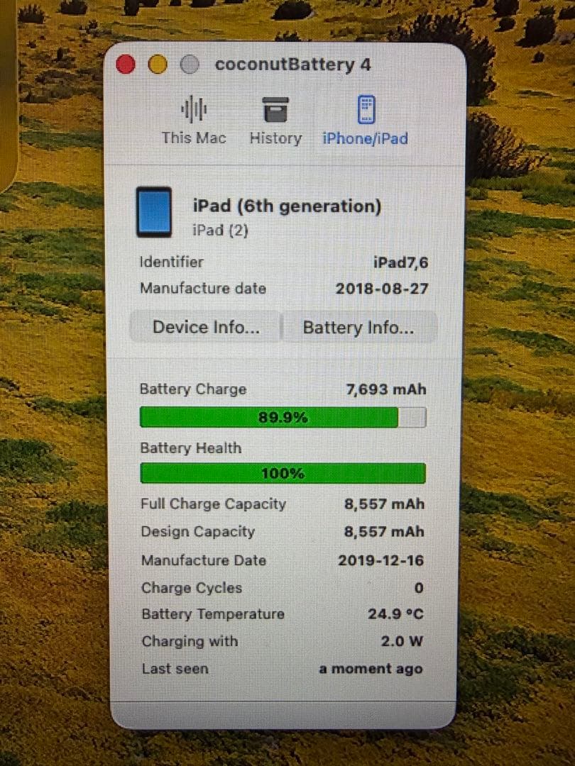 ipad第6世代 Wi-Fi+cellular 32GB バッテリー交換済み