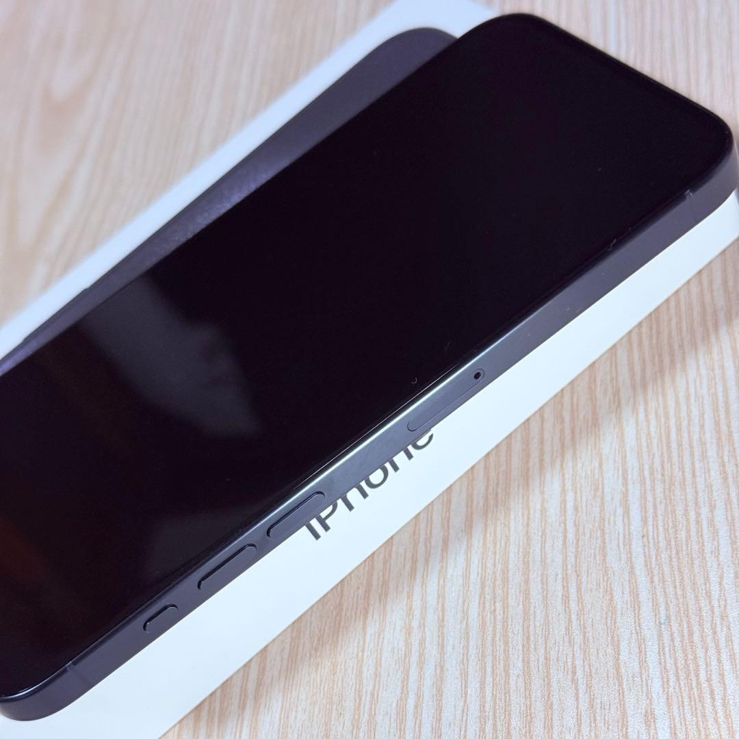 iPhone 15 Pro Max 1TB SIMフリー
