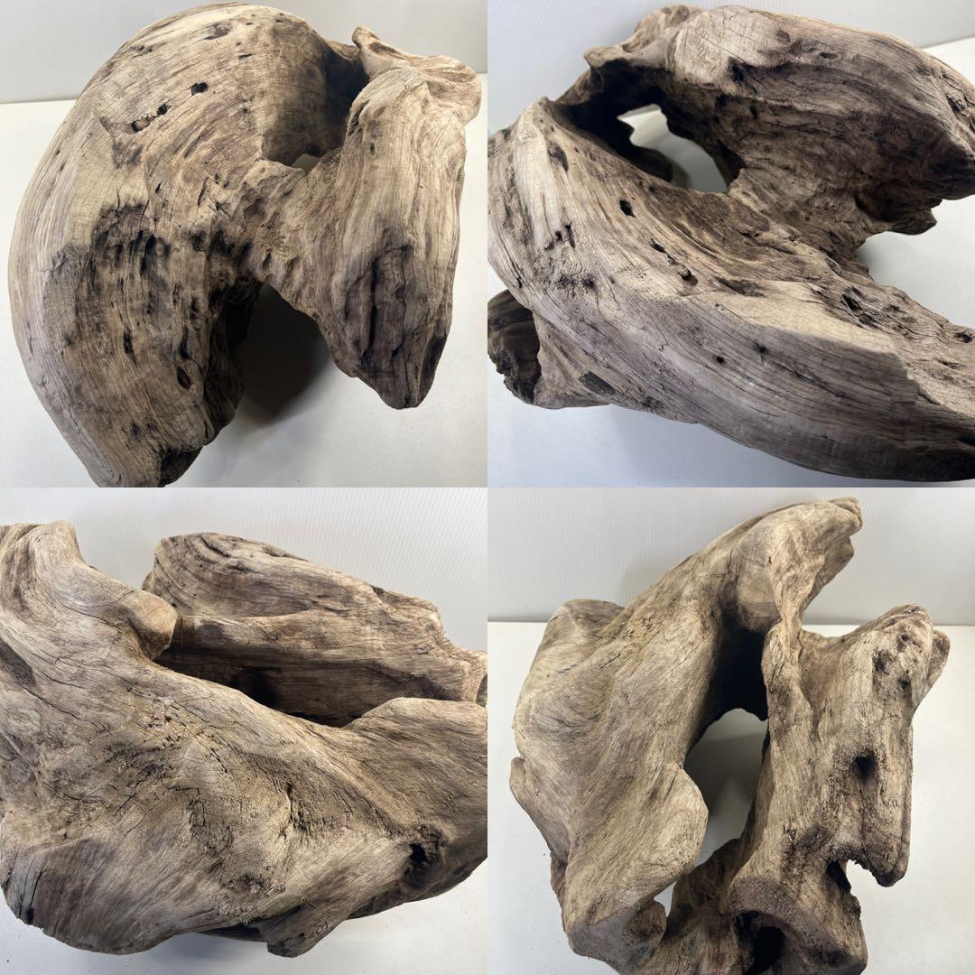 m6大型流木 アク抜き済み 爬虫類シェルター レイアウト用 オブジェ インテリア