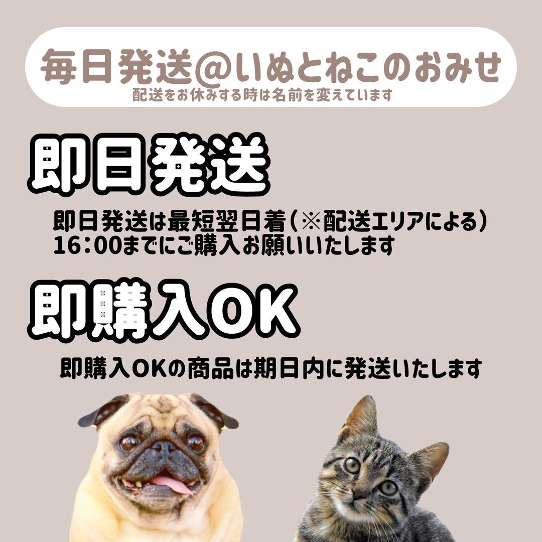 【15kg】セレクトバランス エイジングケアラム 7才以上 成犬用 ドッグフード