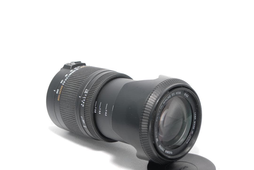 ✨SIGMA DC 18-250mm F3.5-6.3 マクロ✨超望遠レンズ✨