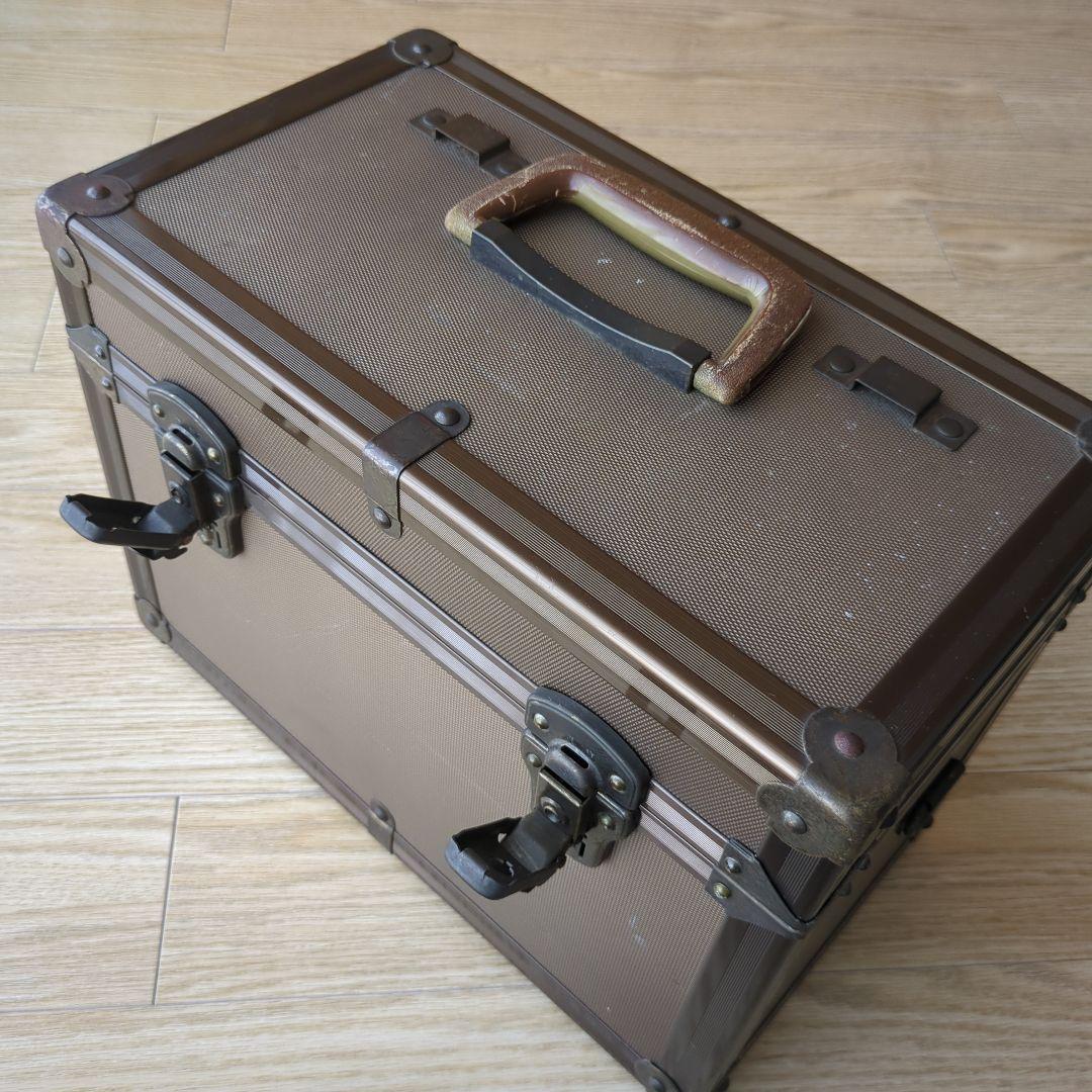 ニコンデジタル一眼レフD-70 　オートフォーカス　ストロボ・充電器・ケース付き