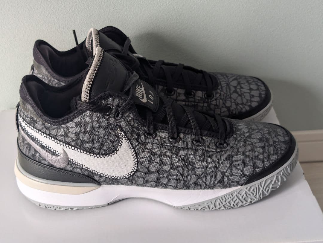 シューズ(男性用) Nike Lebron NXXT GEN 30cm