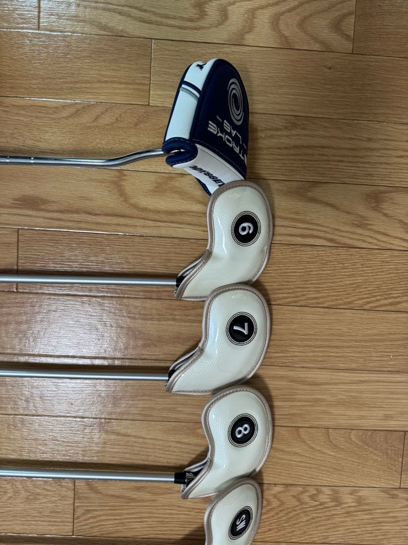 ppe ゴルフクラブセット