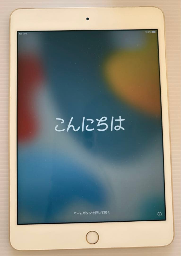 iPadmini4 128GB Wi-Fi+Cellular 美品