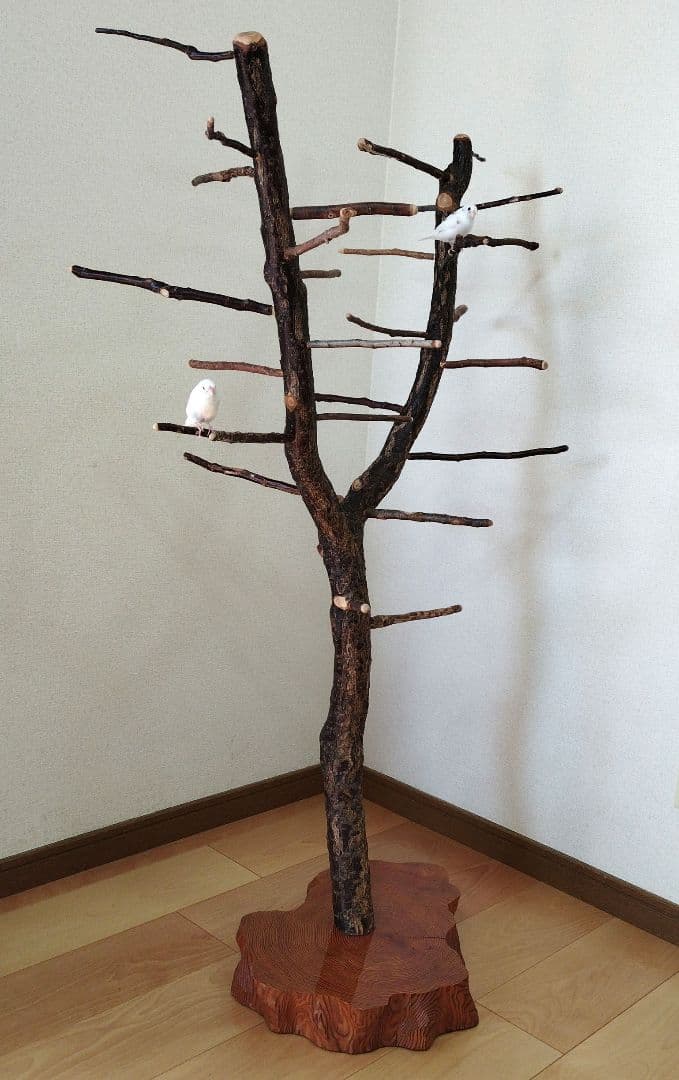 【フィンチ用】梅と桜のフィンチTree バードスタンド