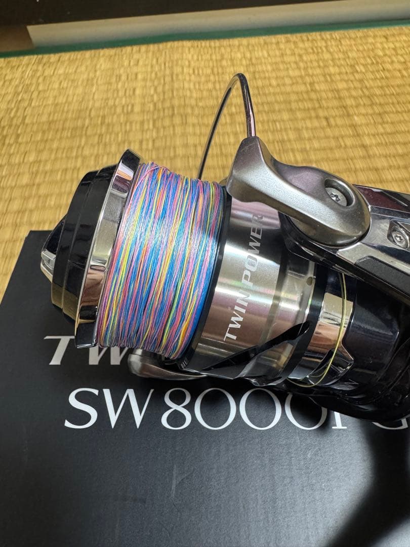 けけ　SHIMANO ツインパワー　SW8000PG シマノ