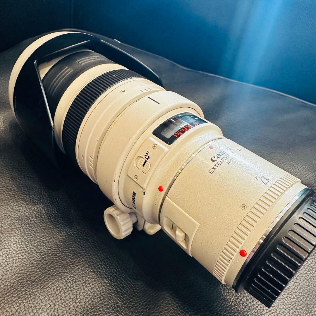 ⭐️美品USED Canon EF 35-350mm ズームレンズ⭐️エクステンダー