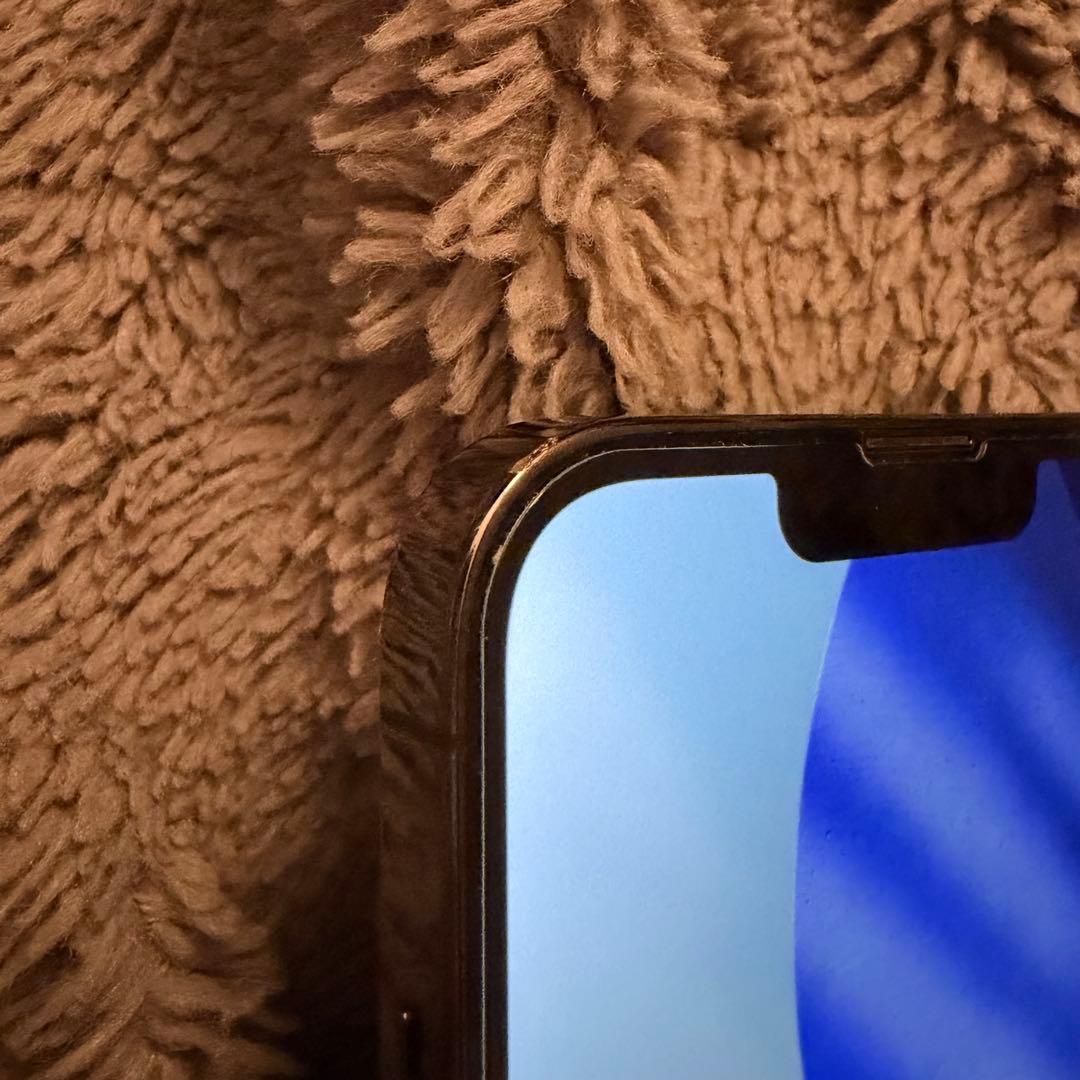 Apple iPhone 13 Pro【美品】