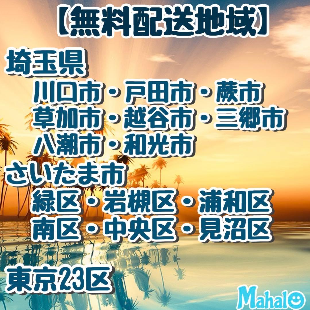 2023年製！美品！フラット庫内でボタン式♪誰でも使いやすい♪単機能電子レンジ