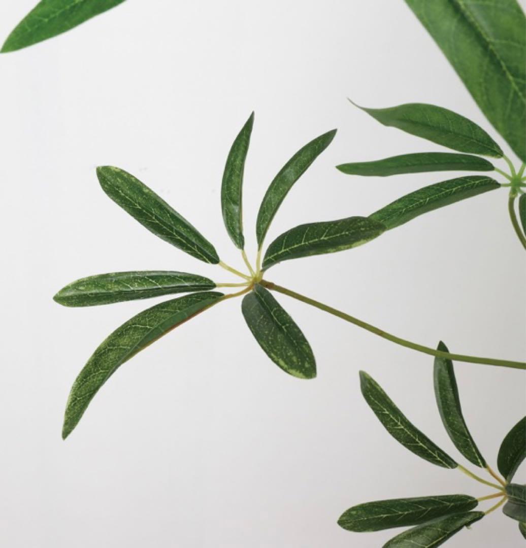 光触媒　人工観葉植物　フェイクグリーン　シェフレラアンガスティホォリア180